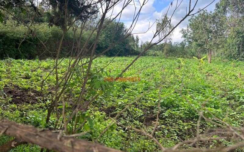 Affordable 1/4 Acre Plot For Sale In Kikuyu-thigio
