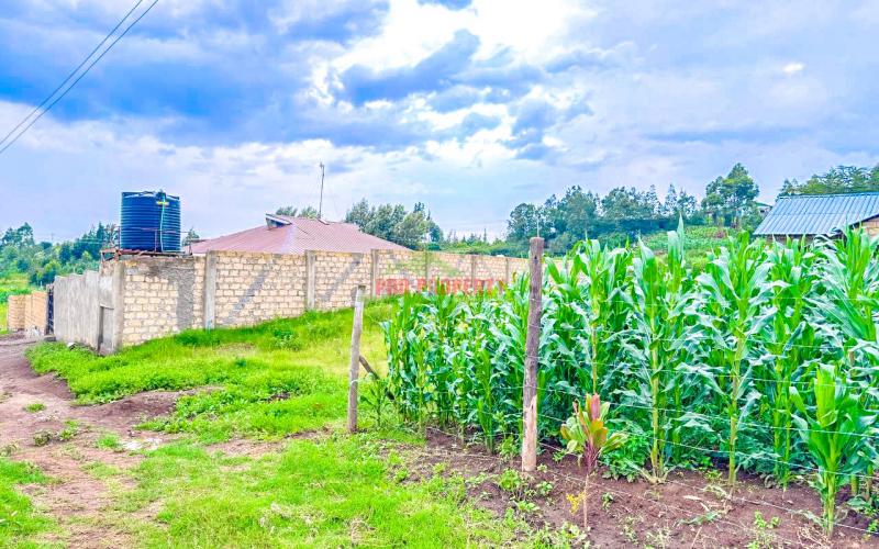 Prime Residential Plot For Sale In Kikuyu ,kamangu.