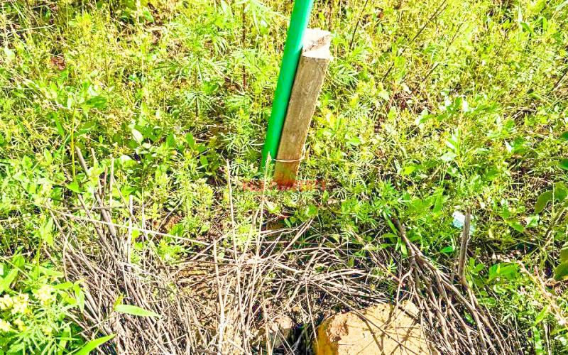 Prime Residential Plot For Sale In Kikuyu, Kamangu.