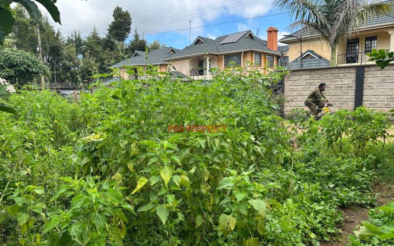 Prime Residential plot for sale in Kikuyu ,Thogoto