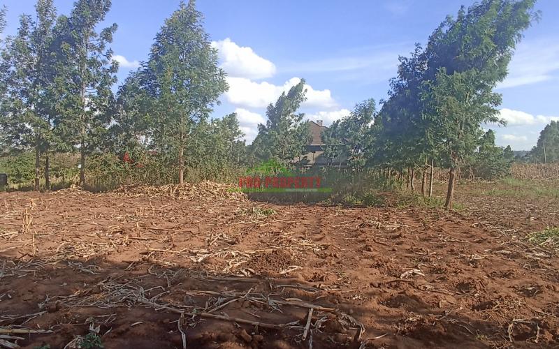 Prime Residential 50 By 100 Feet Plot For Sale In Kikuyu, Migumoini
