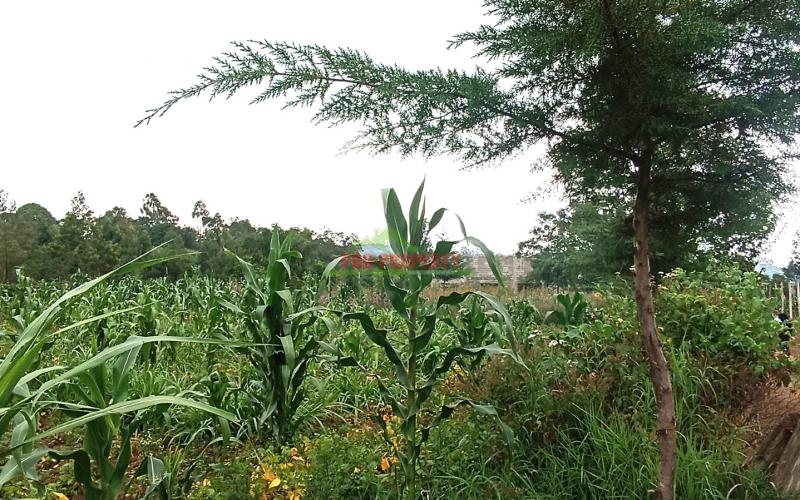 Quarter Acre Residential Plot For Sale In Kikuyu, Kamangu