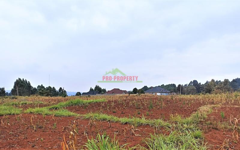 Very Prime Plot For Sale In Kikuyu (kiambu County)