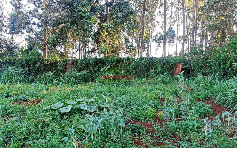 50 By 100ft Commercial Plot For Sale In Kikuyu, Near Nairobi University