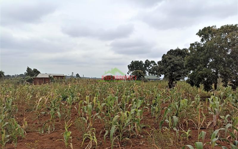 Plot For Sale In Kamangu, (near Kamangu Gardens)