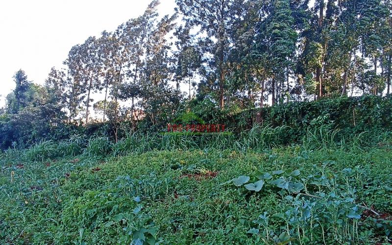 50 By 100ft Commercial Plot For Sale In Kikuyu, Near Nairobi University