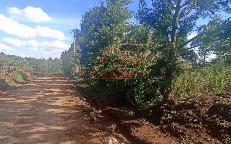 Prime Residential 50 By 100 Feet Plot For Sale In Kikuyu, Migumoini