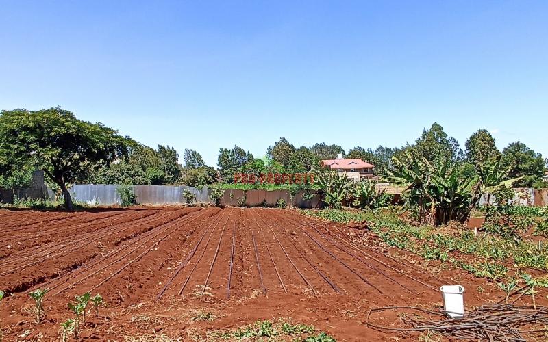 1 Acre Land For Sale In Kikuyu, Thogoto
