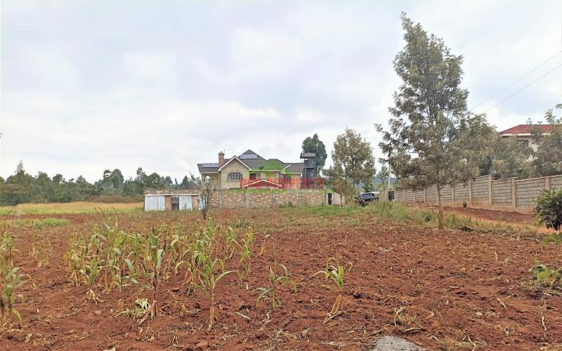 Very Prime Plot For Sale In Kikuyu (kiambu County)