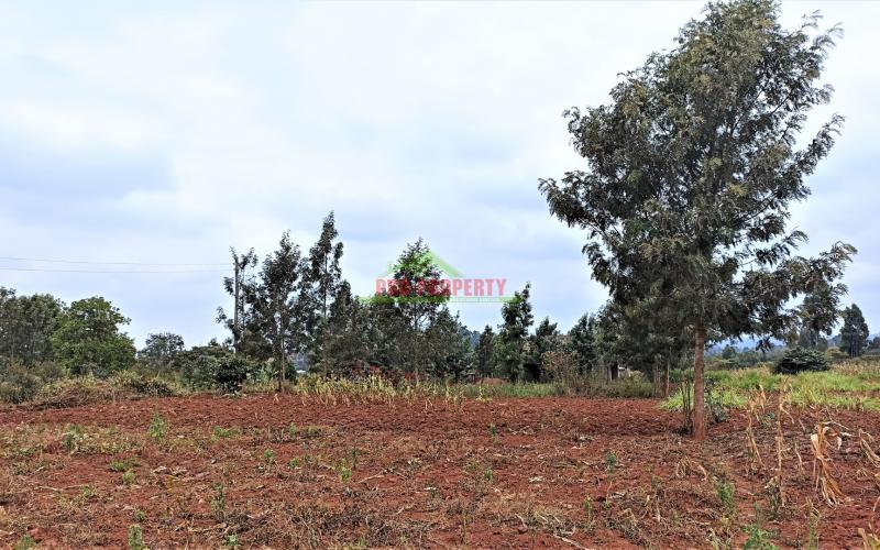 Very Prime Plot For Sale In Kikuyu (kiambu County)