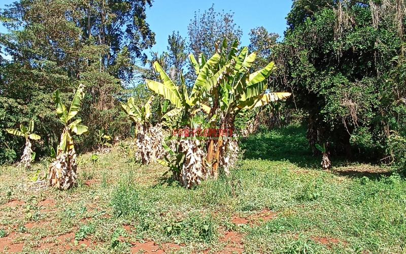 Commercial Plot For Sale In Thogoto, Near Thogoto Teachers College
