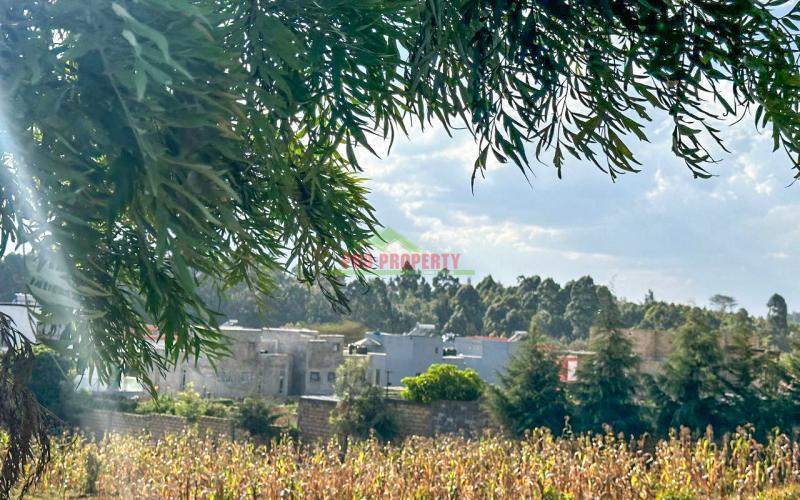 Prime Residential Plot For Sale In Kikuyu, Ondiri