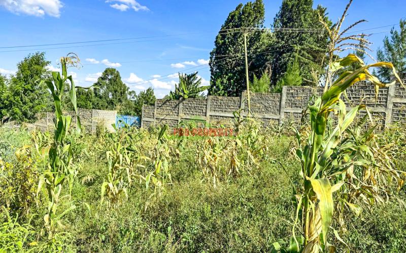 Prime Residential Plots For Sale In Kikuyu, Muguga
