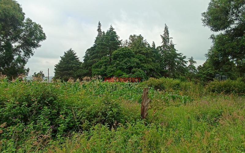 Prime Residential Plot For Sale In Kikuyu, Ondiri