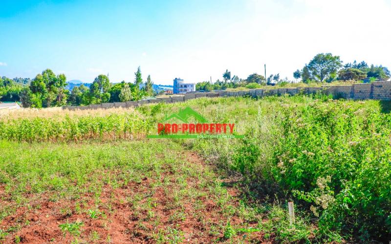 Prime Residential 50 By 100fts Plots For Sale Along Ondiri, Kikuyu.