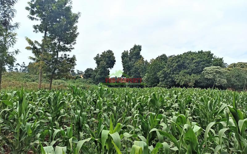 7.5 Acres Very Prime Commercial Land In Kikuyu Town, Next To Sigona Golf Club