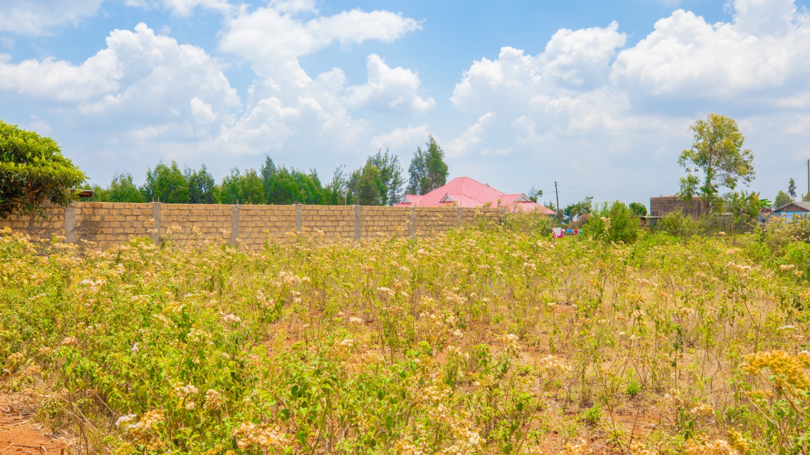 Prime Residential Plot for Sale in Kikuyu, Thigio