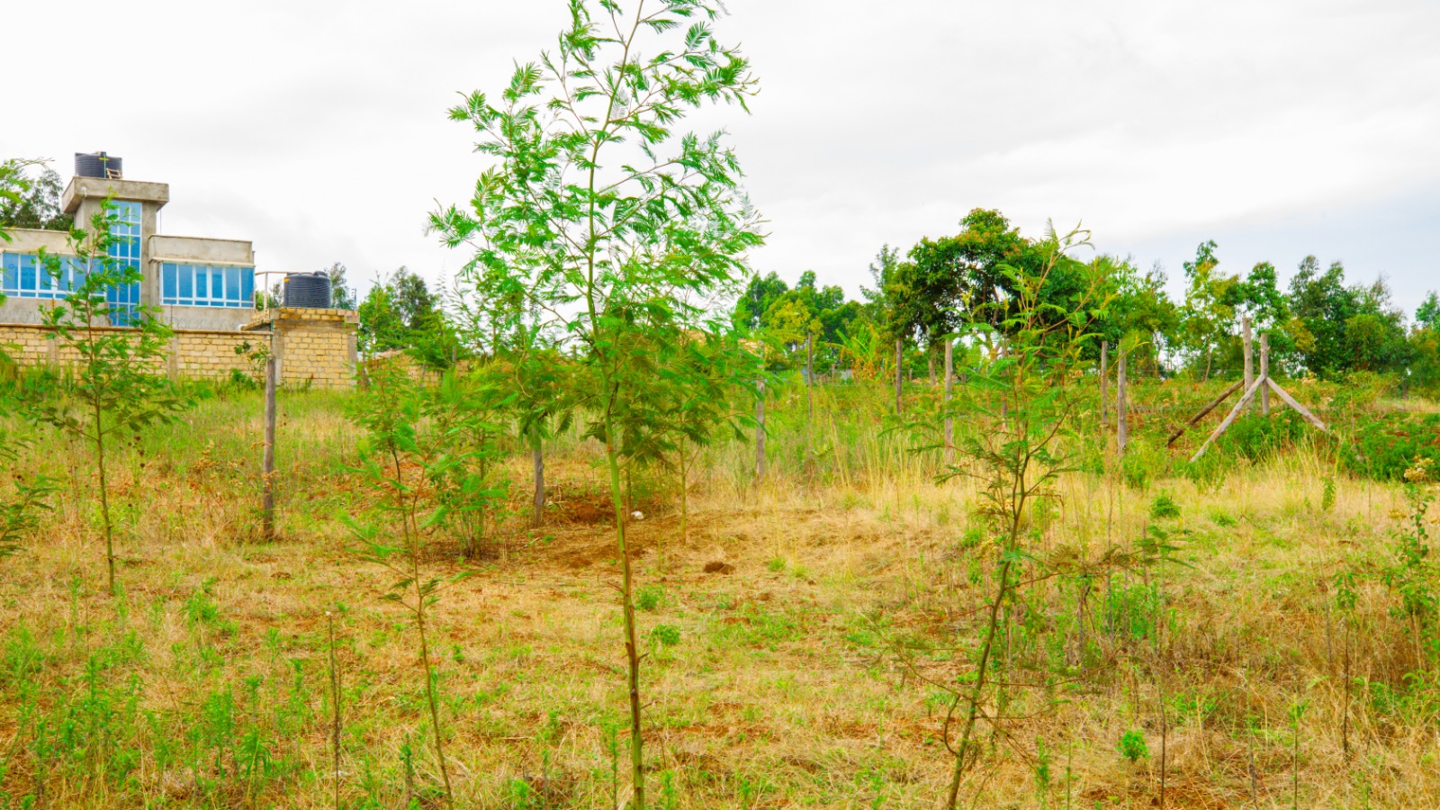 Prime Residential Plot For Sale In Kikuyu, Kamangu.