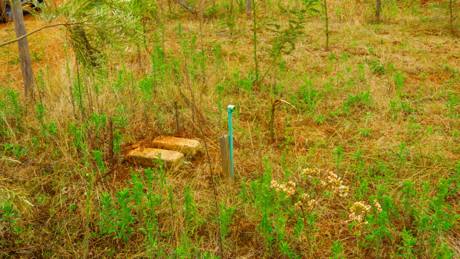 Prime Residential Plot For Sale In Kikuyu, Kamangu.