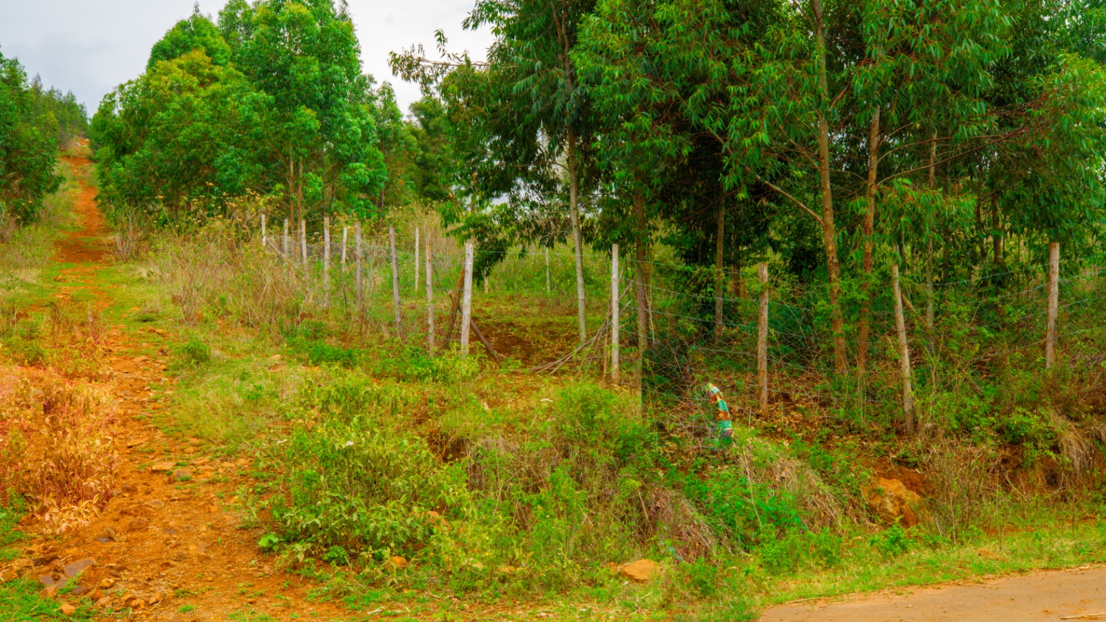 Residential Serviced Plots For Sale In Kikuyu, Nguirubi - Thigio
