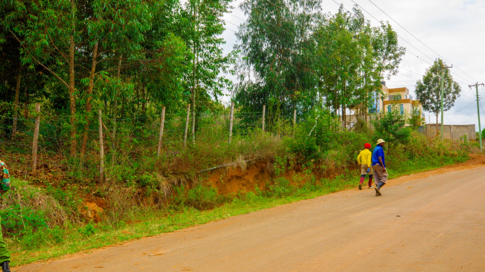 Residential Serviced Plots For Sale In Kikuyu, Nguirubi - Thigio