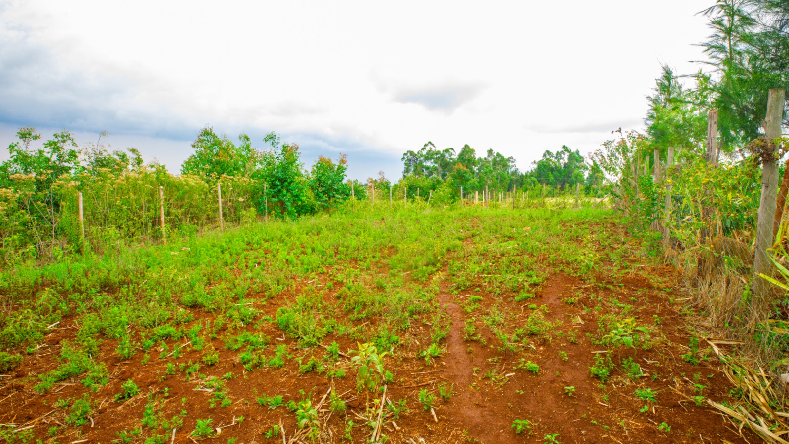 Prime Residential Plot For Sale In Kikuyu, Thigio.