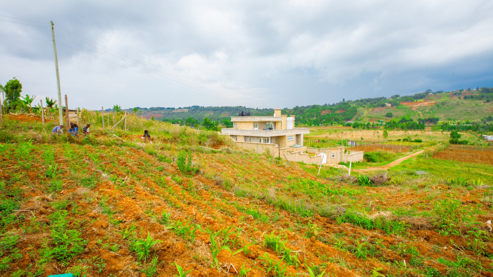 Residential Serviced Plots For Sale In Kikuyu, Nguirubi - Thigio