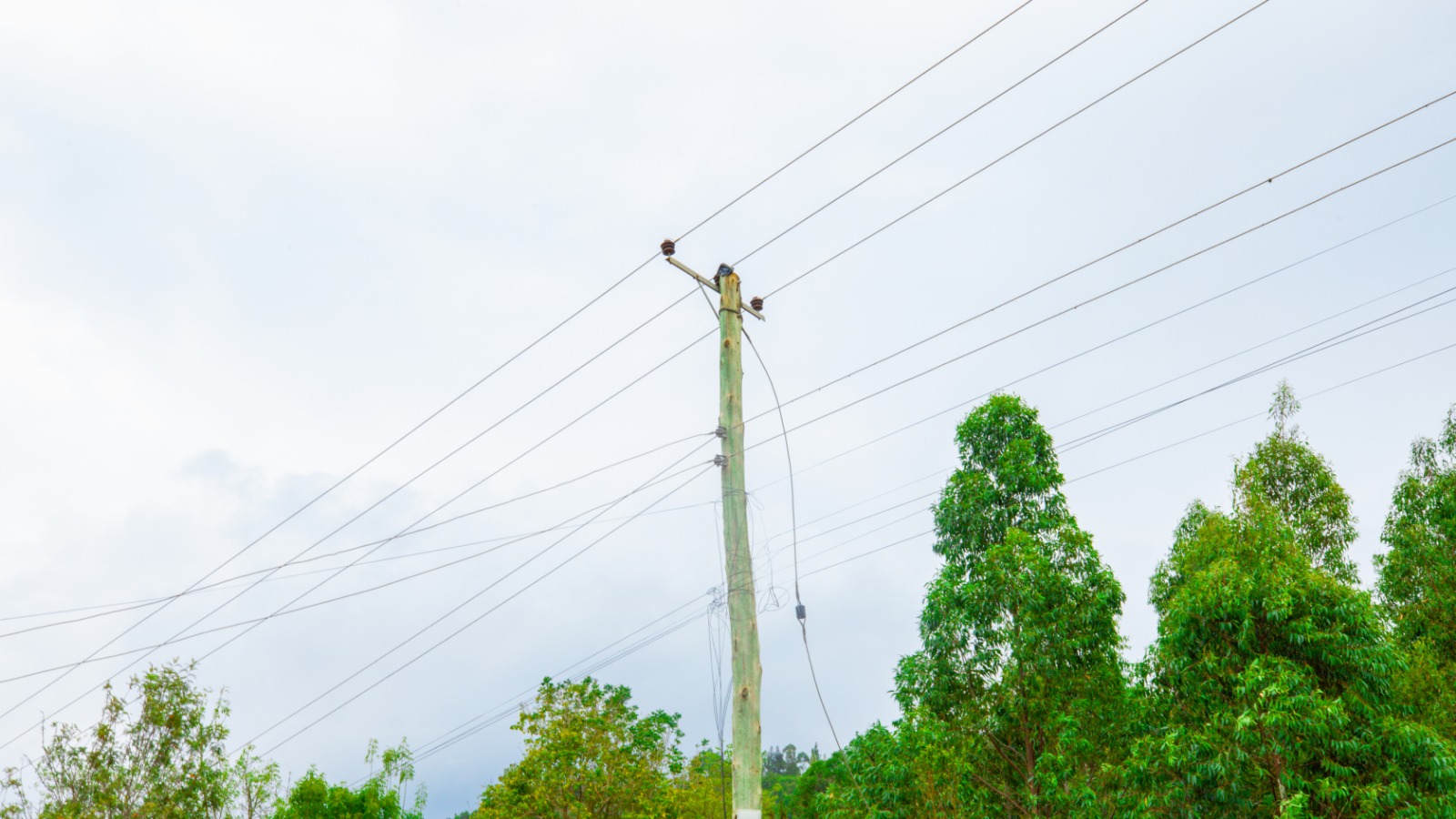 Residential Serviced Plots For Sale In Kikuyu, Nguirubi - Thigio