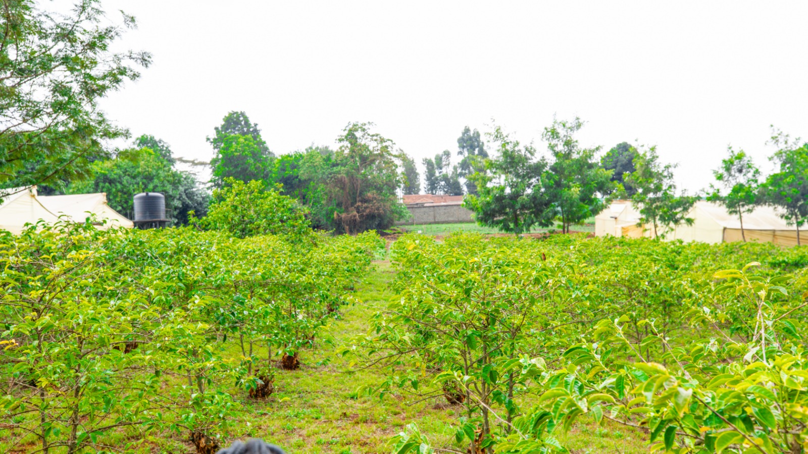 Prime 4-acre Mixed-use Land For Sale In Dagoretti, Muhuri Road