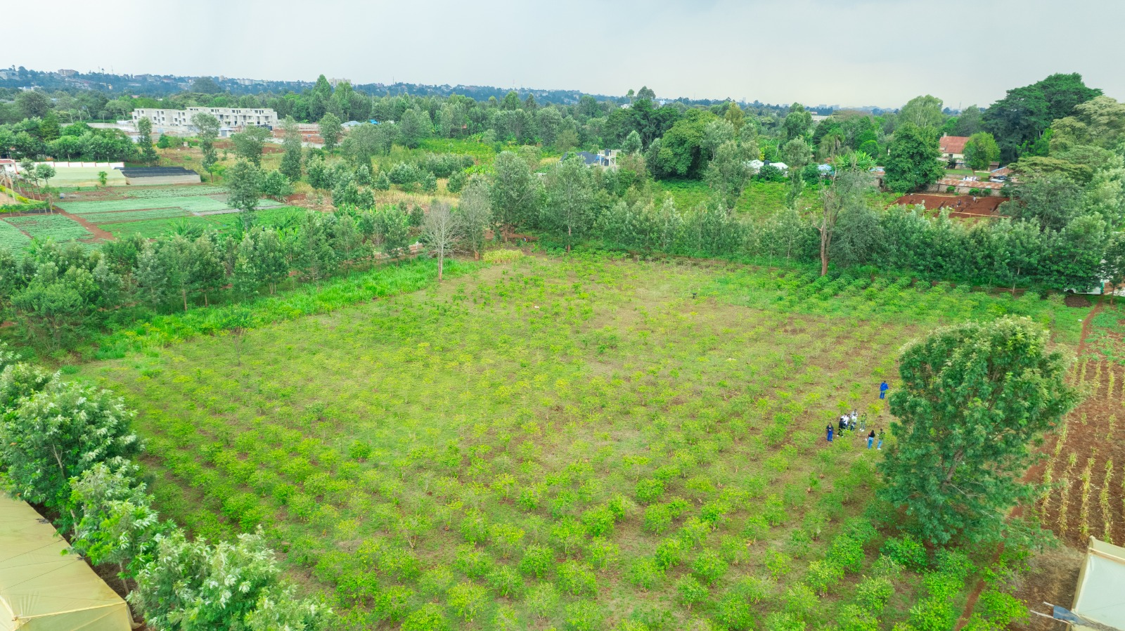 Prime 4-acre Mixed-use Land For Sale In Dagoretti, Muhuri Road