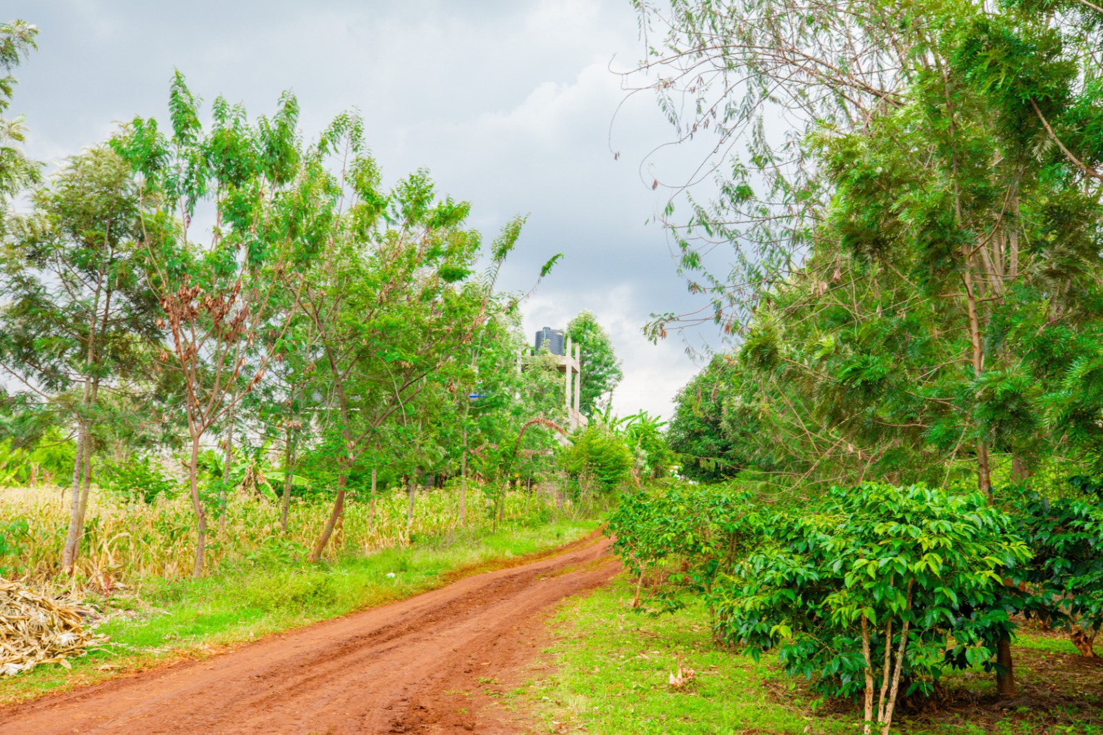 Prime 4-acre Mixed-use Land For Sale In Dagoretti, Muhuri Road