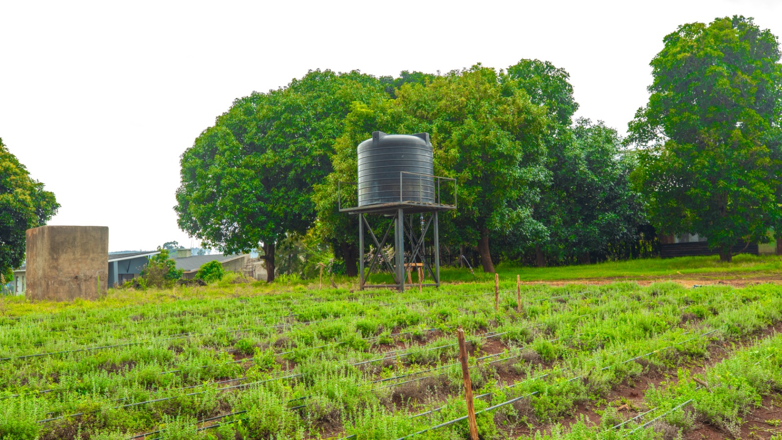 Prime 4-acre Mixed-use Land For Sale In Dagoretti, Muhuri Road