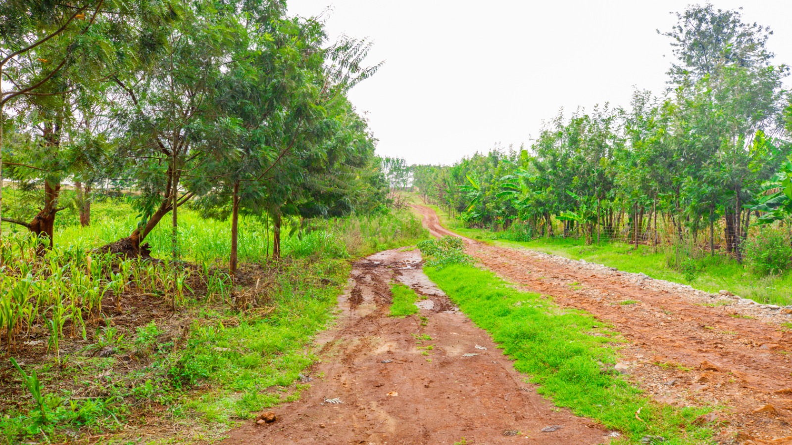 Prime 4-acre Mixed-use Land For Sale In Dagoretti, Muhuri Road