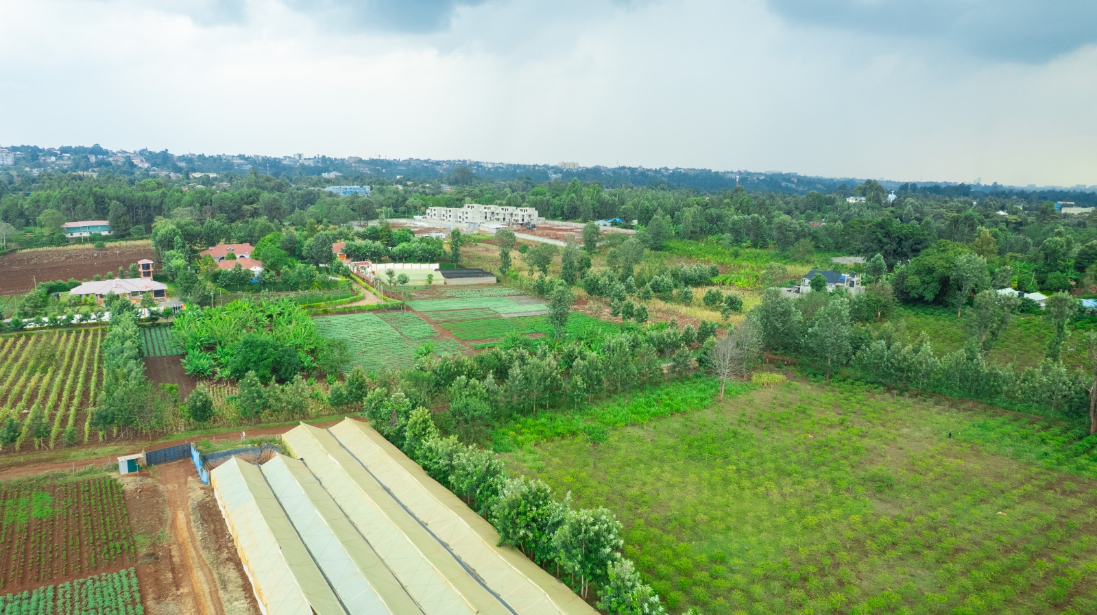 Prime 4-acre Mixed-use Land For Sale In Dagoretti, Muhuri Road