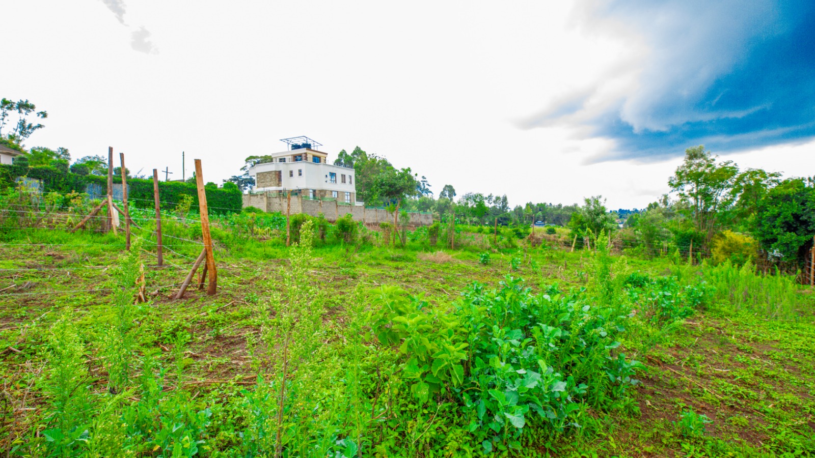 Prime Residential Plot For Sale Kikuyu, Thamanda