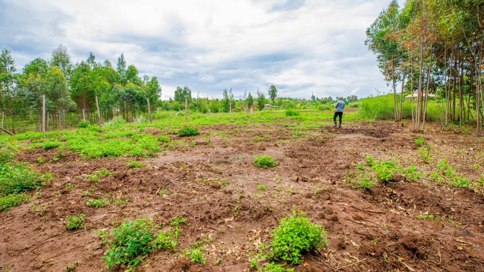 Prime Residential Plot For Sale In Kikuyu, Kamangu (ndiguini Area)