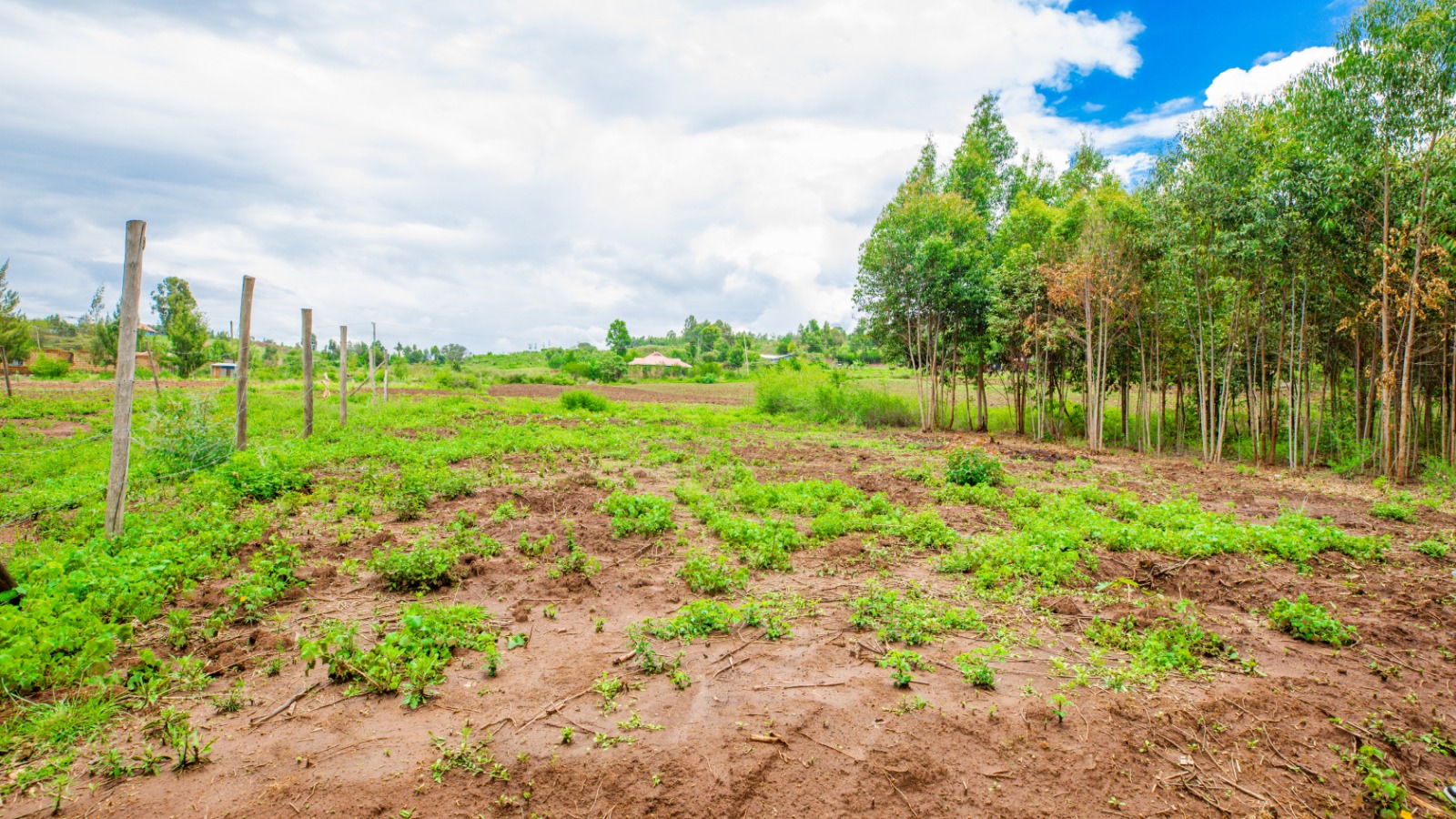 Prime Residential Plot For Sale In Kikuyu, Kamangu (ndiguini Area)