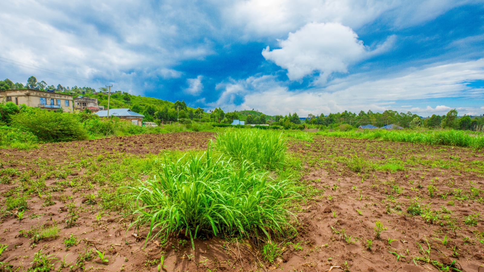 Prime Residential Plots For Sale In Kikuyu, Kamangu (ndiguini Area)