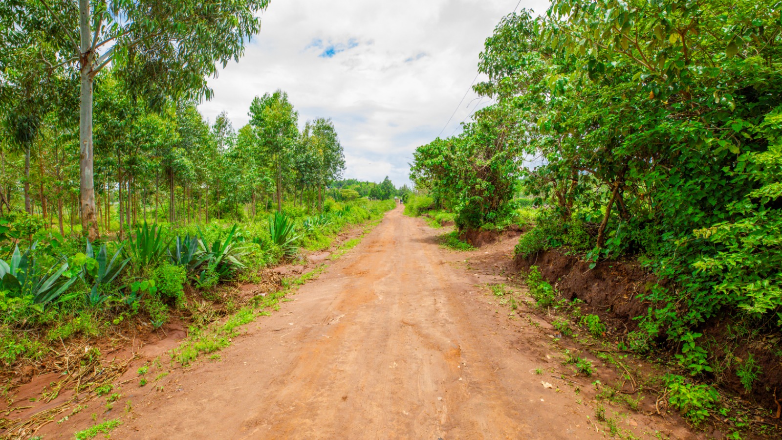 Prime Residential Plots For Sale In Kikuyu, Kamangu (ndiguini Area)