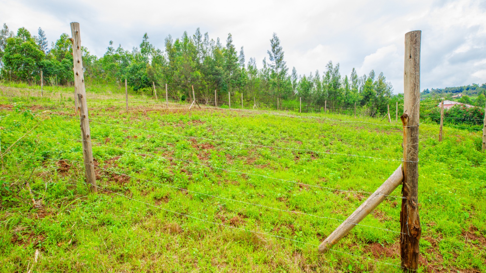 Prime Residential Plots For Sale In Kikuyu, Kamangu.