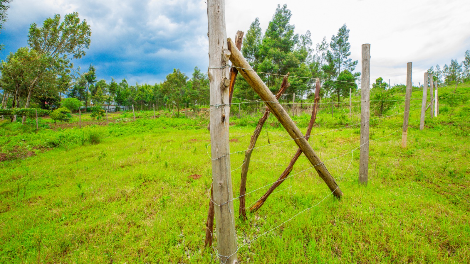 Prime Residential Plots For Sale In Kikuyu, Kamangu.
