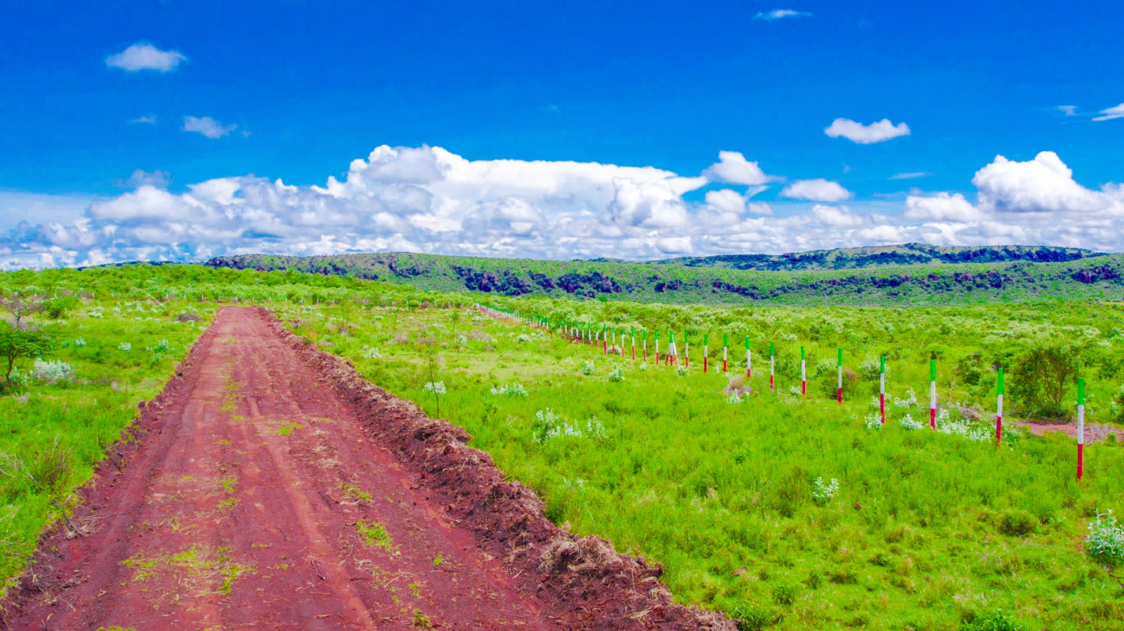 Affordable Plots For Sale In Kikuyu, Nachu (mikuyuini)