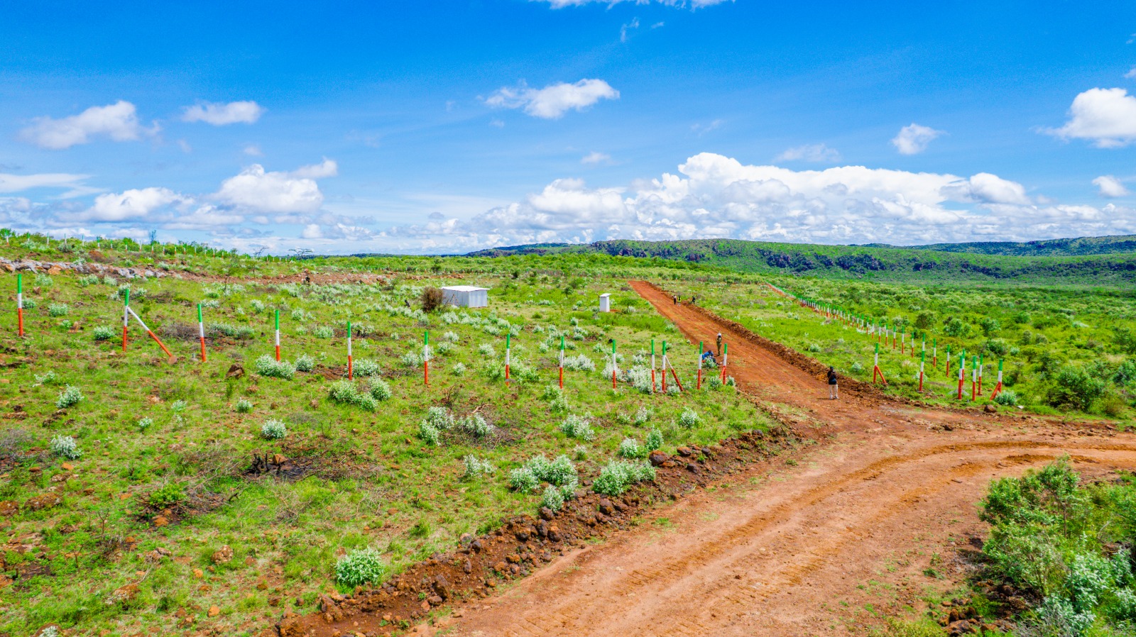 Affordable Plots For Sale In Kikuyu, Nachu (mikuyuini)