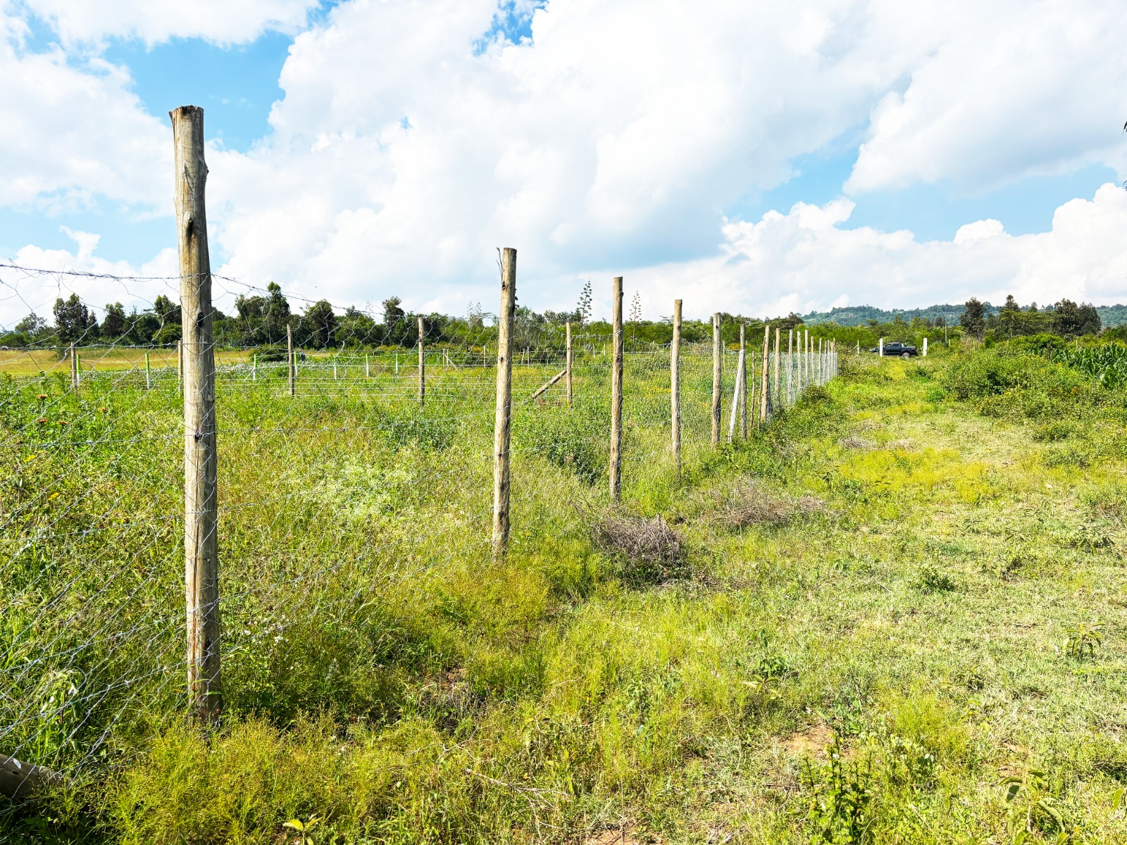 Prime Residential Plots For Sale Kikuyu, Kamangu (ndiguini Area)