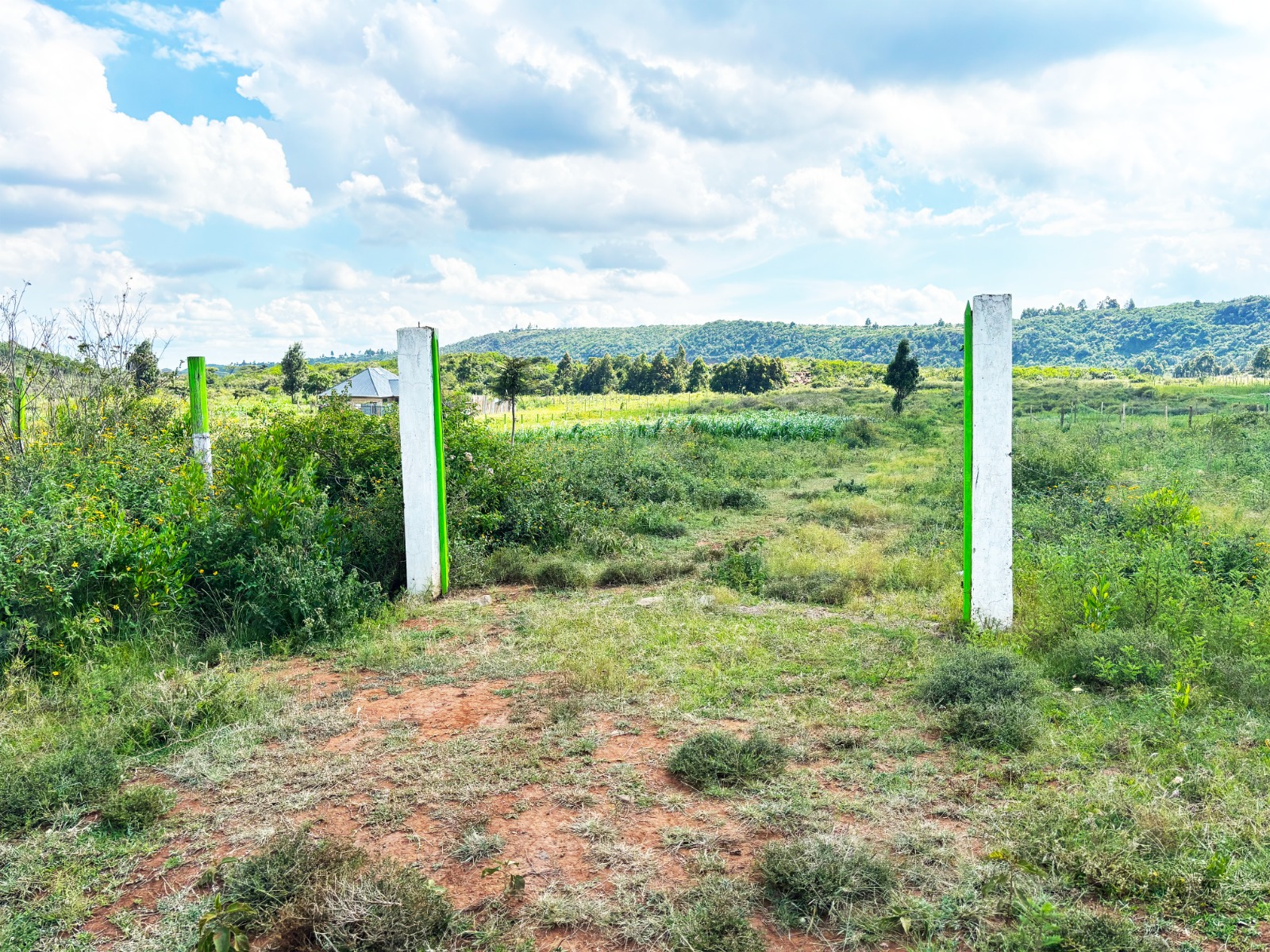 Prime Residential Plots For Sale Kikuyu, Kamangu (ndiguini Area)