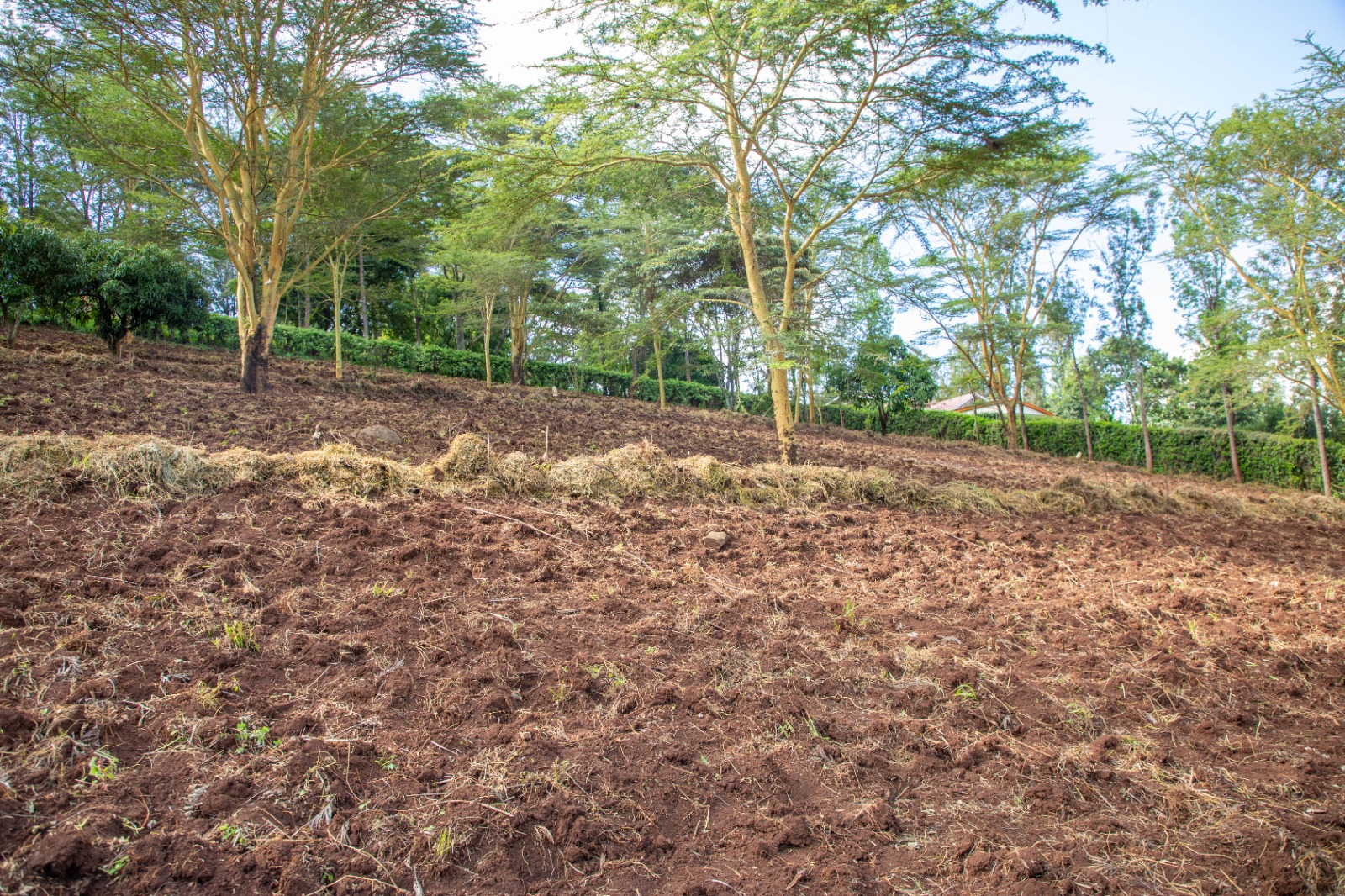 Prime 2-acre Residential Land For Sale In Ngong – Matasia
