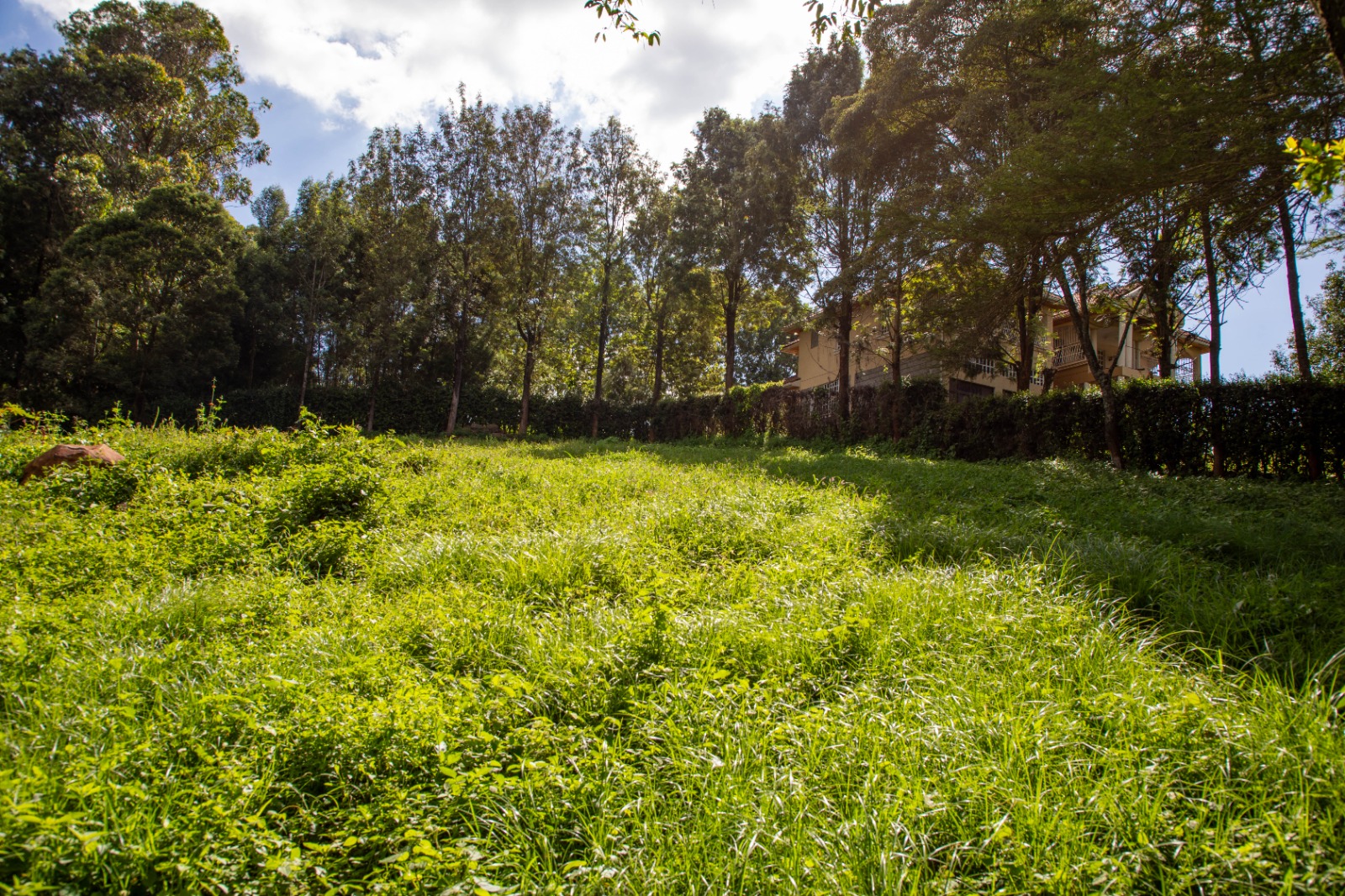 Prime 2-acre Residential Land For Sale In Ngong – Matasia