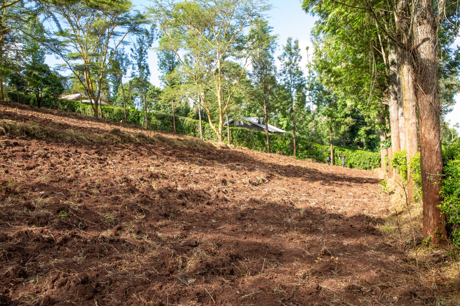 Prime 2-acre Residential Land For Sale In Ngong – Matasia