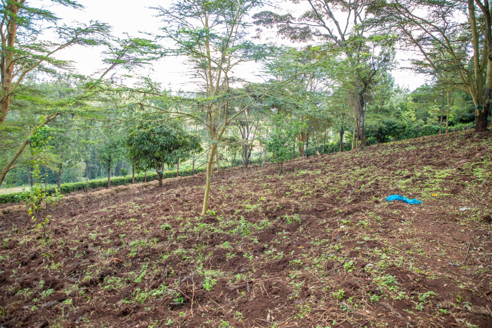 Prime 2-acre Residential Land For Sale In Ngong – Matasia