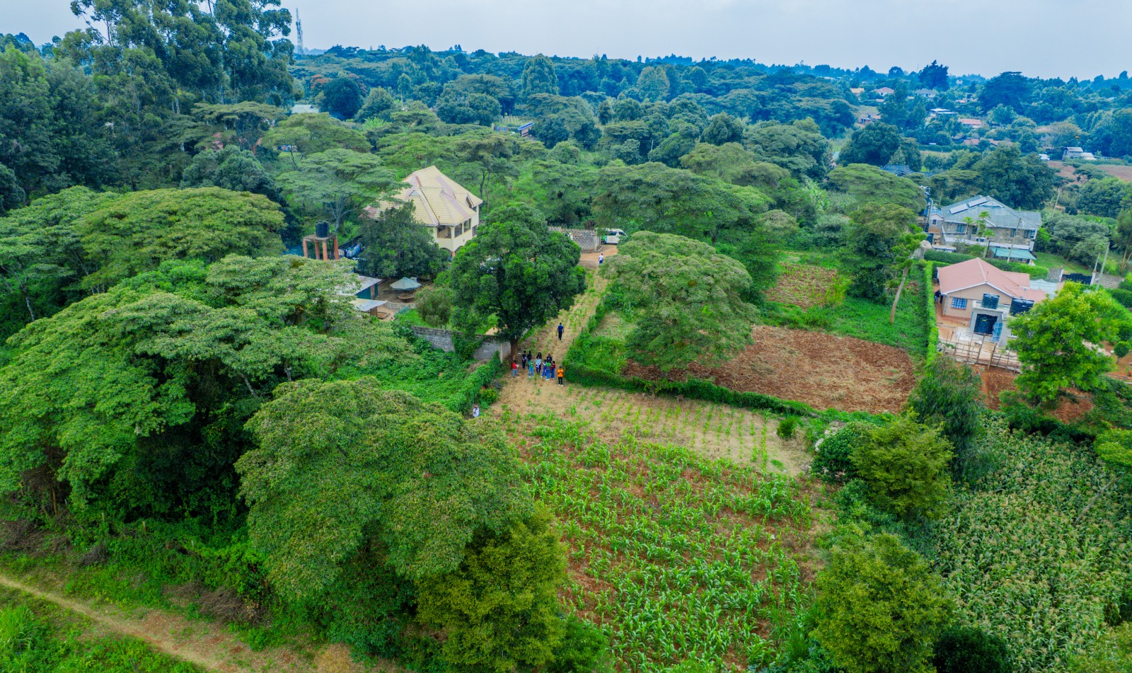 Prime Residential Plot For Sale In Kikuyu 0ndiri